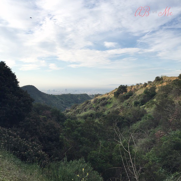 Hollywood Sign Hike9